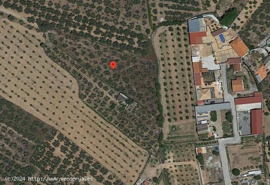 TERRENO CON OLIVOS EN VENTA - GRANADA