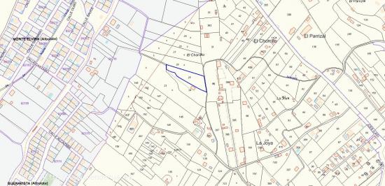 TERRENO CON OLIVOS EN VENTA - GRANADA