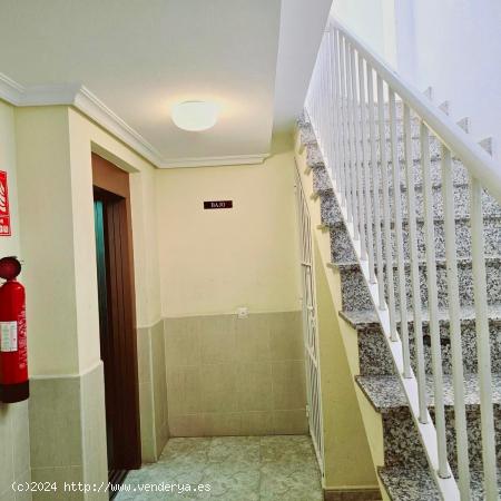 BONITO APARTAMENTO DE 2 HABITACIONES BAÑO Y ASEO EN EL CENTRO DE TORREVIEJA!! - ALICANTE