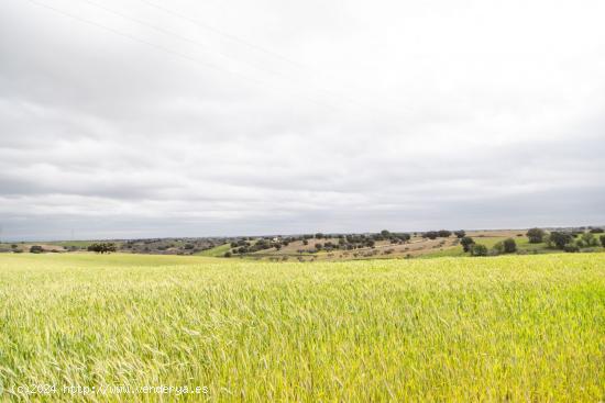 Se Vende en Mentrida - TOLEDO