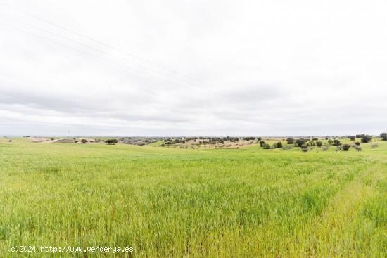 Se Vende en Mentrida - TOLEDO