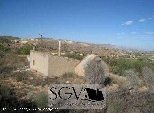 SE VENDE CAMPO EN LA ROMANA - ALICANTE