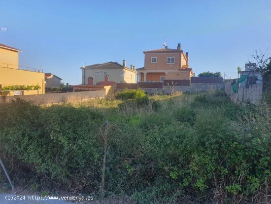 FABULOSO TERRENO EN NOU VENDRELL - TARRAGONA