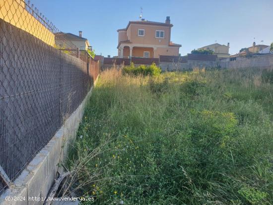 FABULOSO TERRENO EN NOU VENDRELL - TARRAGONA