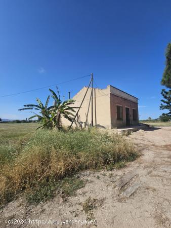 Casa con 50.000 m2 de terreno en Dolores - ALICANTE