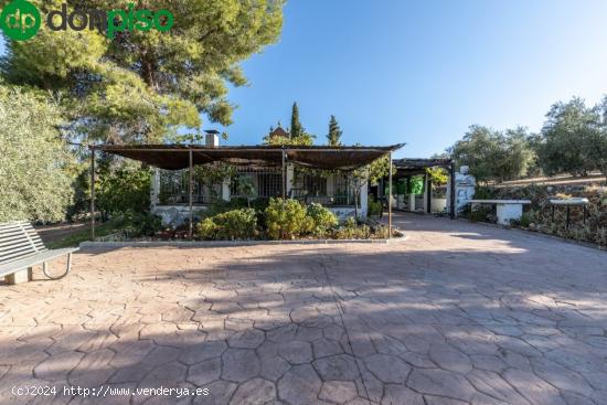 Casa rural con 300 olivos de riego y almendras - GRANADA