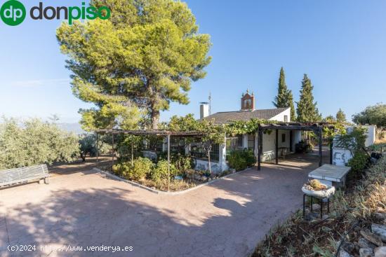 Casa rural con 300 olivos de riego y almendras - GRANADA