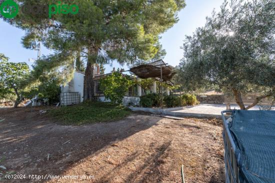 Casa rural con 300 olivos de riego y almendras - GRANADA