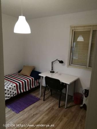 Habitaciones solo para mujeres en piso compartido en Murcia - MURCIA