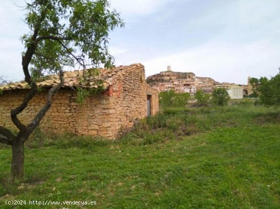  Finca con casita cerca de Monroyo - TERUEL 