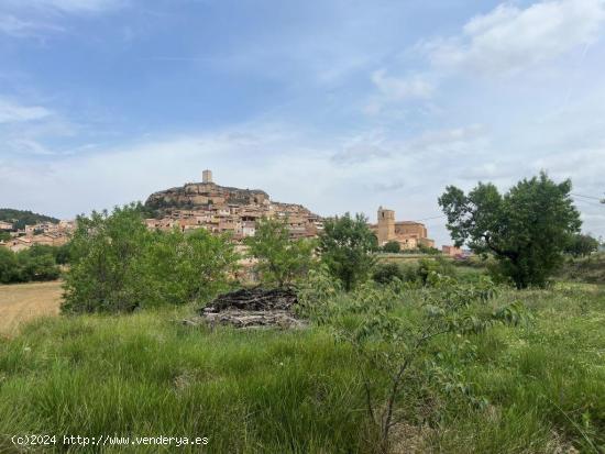 Finca con casita cerca de Monroyo - TERUEL