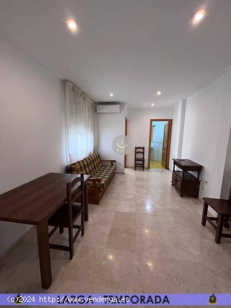 LT / Piso de UN dormitorio en Granada Centro zona Figares - GRANADA