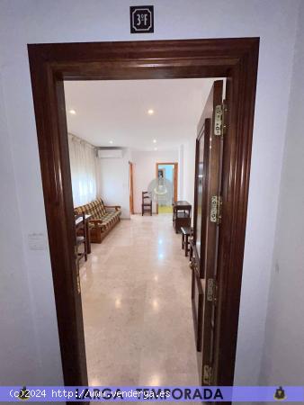 LT / Piso de UN dormitorio en Granada Centro zona Figares - GRANADA