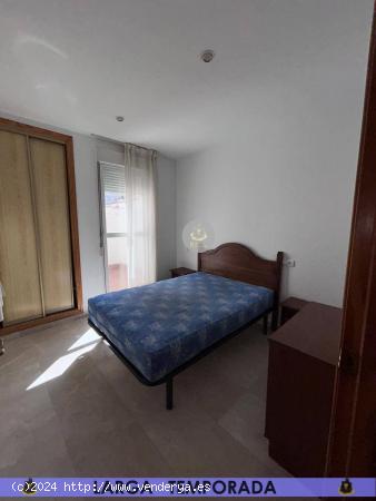 LT / Piso de UN dormitorio en Granada Centro zona Figares - GRANADA