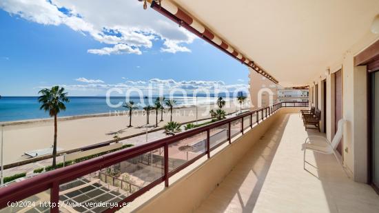 Maravilloso apartamento en primera línea de playa - VALENCIA