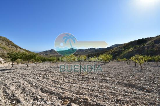 TERRENO CON CASA DE APEROS, LUZ Y VISTAS AL MAR - MURCIA