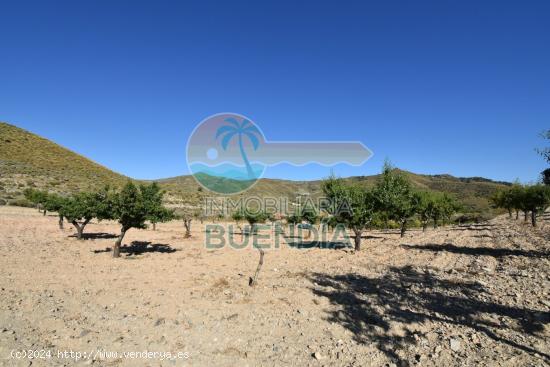 TERRENO CON CASA DE APEROS, LUZ Y VISTAS AL MAR - MURCIA