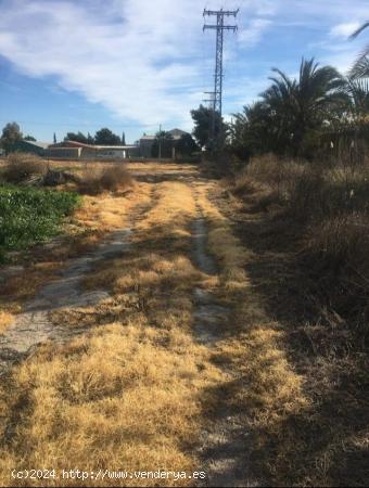 Parcelas a la venta en Crevillente - ALICANTE