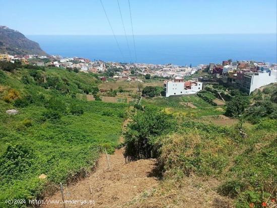 Finca con parte Urbana El Horno, Los Realejos - SANTA CRUZ DE TENERIFE