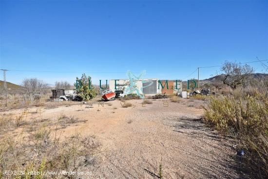 TERRENO RÚSTICO CON NAVE INDUSTRIAL EN LOS RUICES - MURCIA