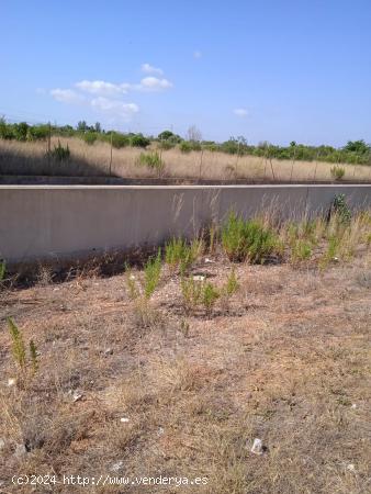 PARCELA RÚSTICA EN SENSAL, RUTA DEL COLESTEROL - CASTELLON