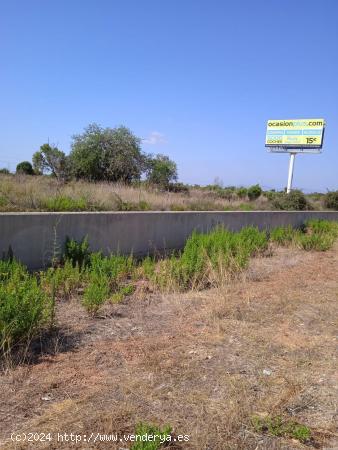 PARCELA RÚSTICA EN SENSAL, RUTA DEL COLESTEROL - CASTELLON