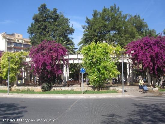 PLANTA BAJA EN PALMA CON PATIO Y GARAJE - BALEARES