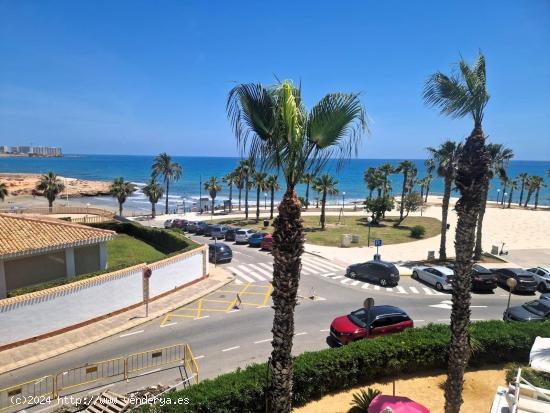 Apartamento Primera linea Playa Flamenca - ALICANTE