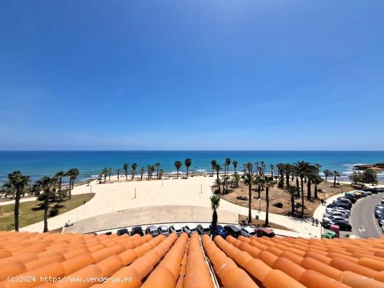 Apartamento Primera linea Playa Flamenca - ALICANTE