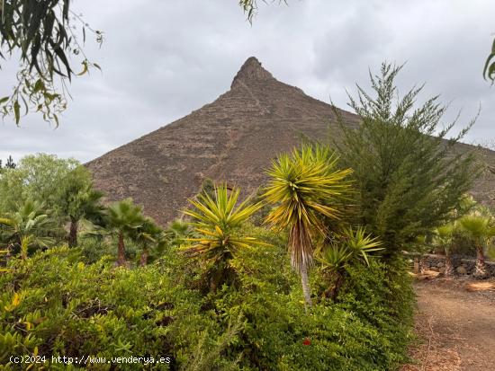 CASA CUEVA en preciosa finca con vistas - SANTA CRUZ DE TENERIFE