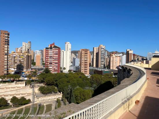 Venta de piso en el corazón de Benidorm   - ALICANTE