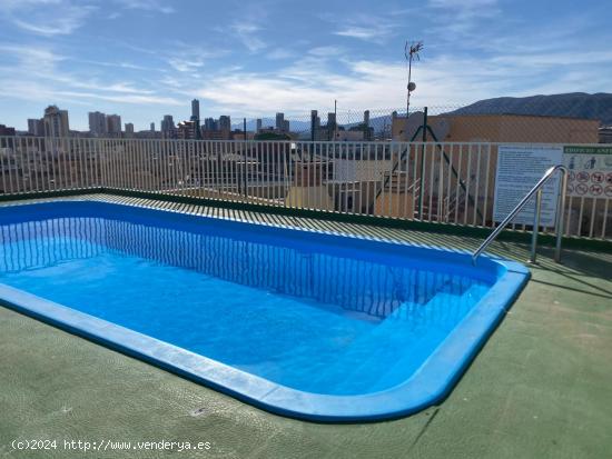 Venta de piso en el corazón de Benidorm   - ALICANTE