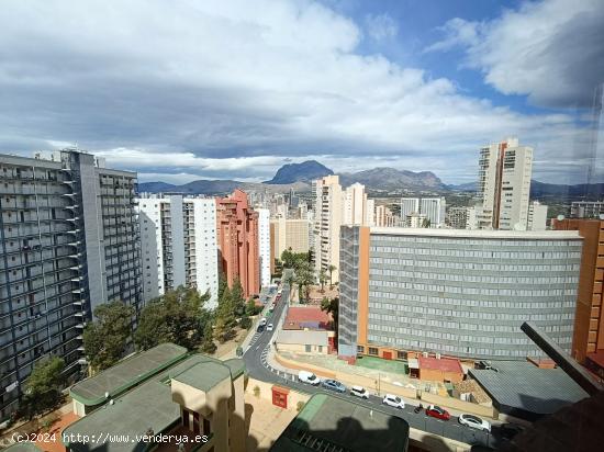 Venta de piso en Benidorm 1 MAS 1 - ALICANTE