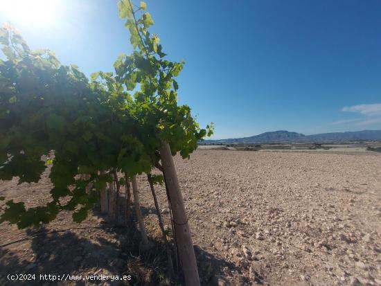 TERRENO CON IMPRESIONANTES VISTAS PANORAMICAS - ALICANTE