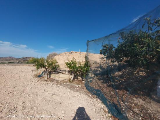 TERRENO CON IMPRESIONANTES VISTAS PANORAMICAS - ALICANTE