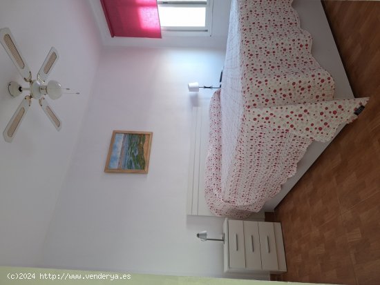 Apartamento en Alquiler en Sanlucar De Barrameda Cádiz