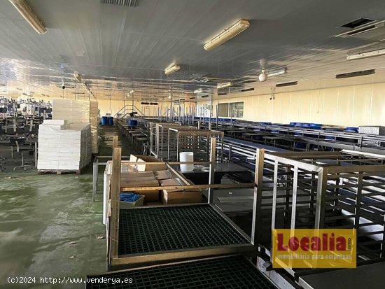 Fábrica de conservas de alimentos en Cantabria