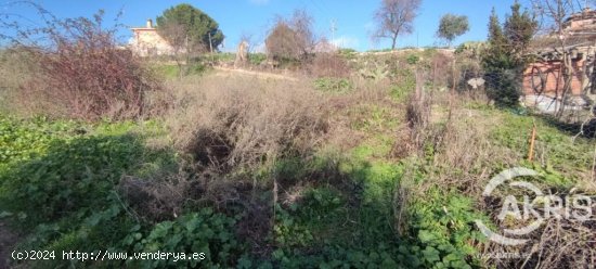 TERRENO URBANO NO CONSOLIDADO EN MENTRIDA