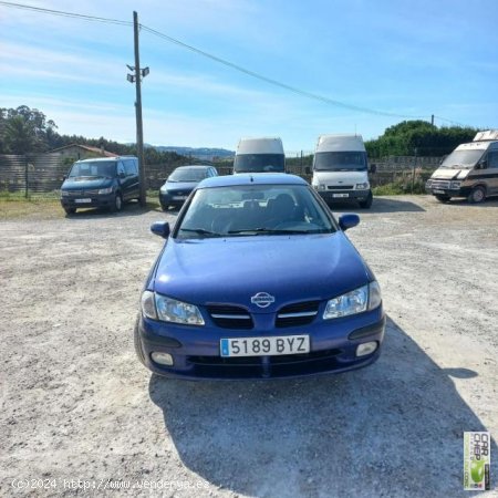 NISSAN Almera en venta en Miengo (Cantabria) - Miengo