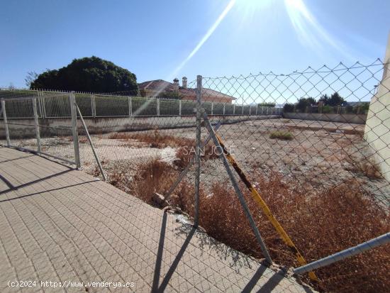 SE VENDE TERRENO URBANO EN MONFORTE DEL CID. - ALICANTE