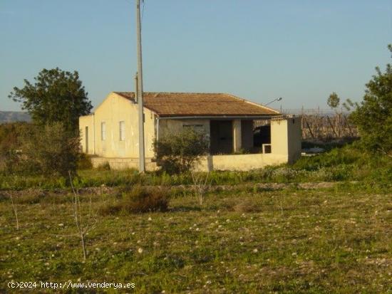 CASA DE CAMPO PARA REFORMAR CON TERRENO ZONA DE MATOLA - ALICANTE