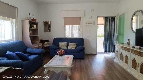 CASA CON TERRENO EN VILLARALBO, PISCINA Y GARAJE - ZAMORA