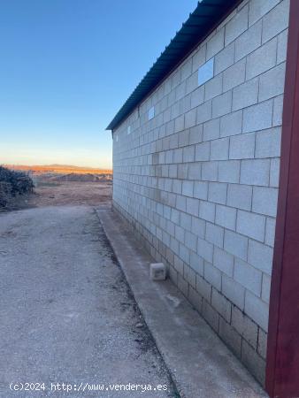 Se vende finca de viñedo en Yecla - MURCIA