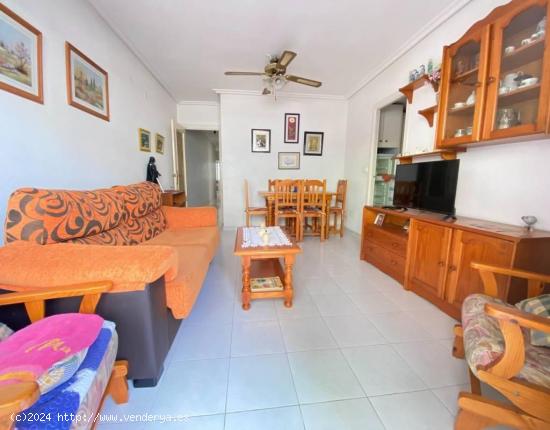 FABULOSO APARTAMENTO EN EL CENTRO URBANO DE TORREVIEJA, IDEAL PARA VIVIR TODO EL AÑO - ALICANTE