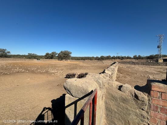 Venta de Finca Agricola y Ganadera - CORDOBA