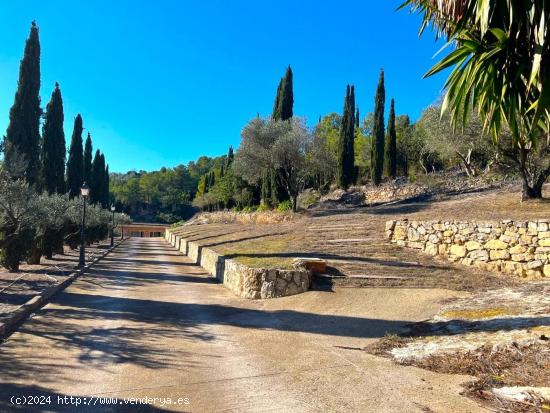 FINCA Con equipamientos - HIPICA - TARRAGONA