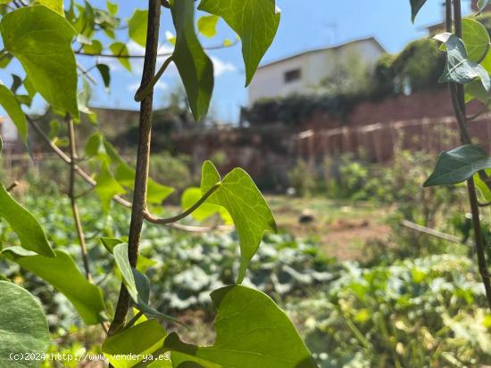 TERRENO URBANO A LA VENTA EN ESPARREGUERA (BARCELONA) ZONA LA PLANA - BARCELONA