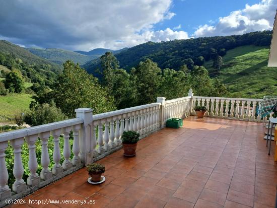 FINCA CON CASA Y NAVE EN SOBA (CANTABRIA) - CANTABRIA