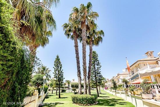 Adosado en Residencial La Torre (Torrevieja) - ALICANTE