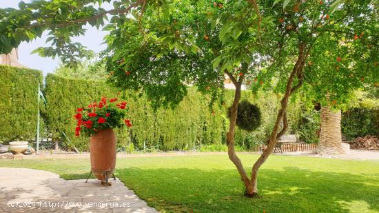 Chalet independiente con piscina en Cuarte de Huerva - ZARAGOZA